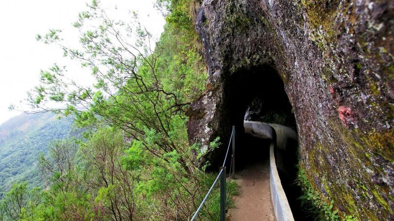 Turista está desaparecido na levada do Ribeiro Frio- Portela