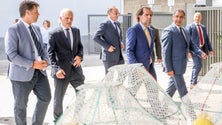 Imagem de Madeira e Açores negoceiam com República para que não sejam reduzidas as quotas de espada e atum (áudio)