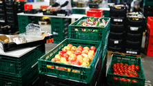 Imagem de Projeto pretende alterar oferta alimentar nos bares e escolas (Vídeo)