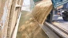 Imagem de Acordo permitiu à Ucrânia exportar 1,68 milhões de toneladas de cereais