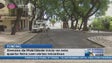 Imagem de Câmara do Funchal vai encerrar parte da Avenida Zarco ao trânsito