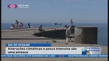 No dia do oceano, especialistas alertam para alterações climáticas e os riscos da pesca intensiva (Vídeo)