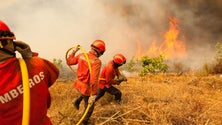 Imagem de UE solidária com Portugal garante apoio no combate aos fogos