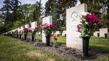 Imagem de Covid-19: Número diário de mortes sobe para 244 em Espanha