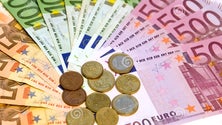 Imagem de Madeira perdeu 90,2 milhões