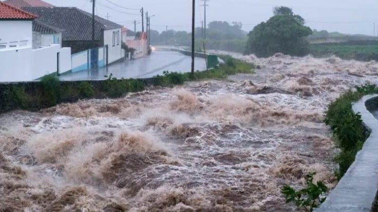 Imagem de Encontrados «objetos pessoais» em ribeira onde terá caído viatura em São Miguel
