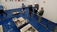 Imagem de Pesca por um fio (vídeo)