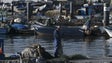 Imagem de Apoios aos pescadores atingem 1,2 milhões de euros