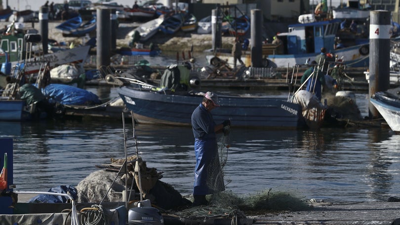 Imagem de Apoios aos pescadores atingem 1,2 milhões de euros