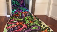 Imagem de Andorinha tem nova exposição (vídeo)