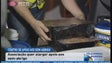 Imagem de CASA quer apoiar sem-abrigo 24h por dia (Vídeo)