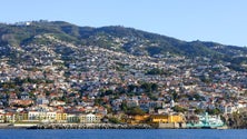Imagem de Até 2050 os municípios portugueses têm que reduzir em 80% as emissões de dióxido de carbono