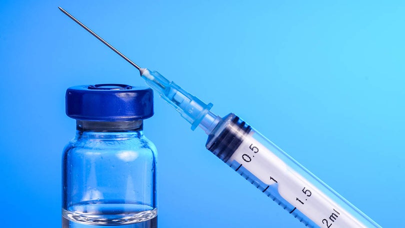 Imagem de Covid-19: Cientistas trabalham em 20 vacinas e 30 potenciais medicamentos