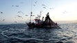 UE aumenta quota para pesca de atum rabilho