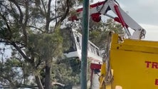 Imagem de Vídeo mostra autocarro a ser retirado do precipício