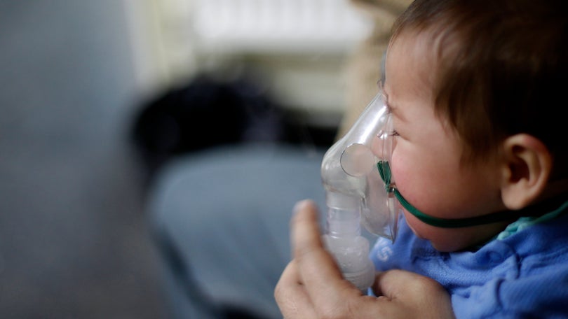 Imagem de Mais de 170 crianças hospitalizadas em Portugal devido ao vírus sincicial