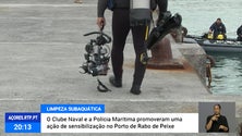Imagem de Clube Naval e Polícia Marítima promovem ação de limpeza subaquática em Rabo de Peixe [Vídeo]