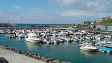 Utentes da marina de Vila Franca queixam-se de poluição (Vídeo)