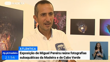 Imagem de Fotógrafo madeirense reúne em exposição fotografias subaquáticas da Madeira e de Cabo Verde (Vídeo)