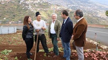 Imagem de CDS defende mais apoios para a agricultura