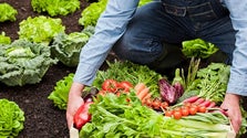 Imagem de Agrobio quer reunir com agricultores e consumidores da Madeira