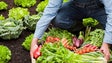 Imagem de Agrobio quer reunir com agricultores e consumidores da Madeira