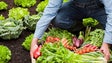 Agrobio quer reunir com agricultores e consumidores da Madeira