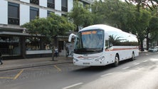 Imagem de Concurso público internacional para transportes na Madeira lançado ainda este ano (Vídeo)