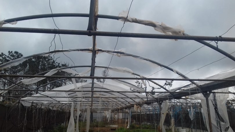 Imagem de Abertos apoios para a agricultura
