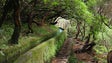 Imagem de Aplicação Smiity já é guia em 3 levadas da Madeira