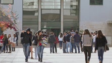 Imagem de UMa recebe 88 alunos na 2ª. fase de candidaturas ao ensino superior