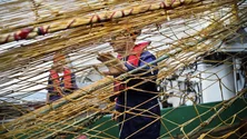 Imagem de Portugal tem défice médio anual em pescada de 90 milhões
