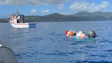 Imagem de Sindicato lamenta desaparecimento de pescadores