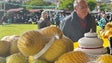Imagem de Expo tropical conta com 36 comerciantes (áudio)