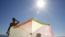 Imagem de Madeira com níveis muito elevados de exposição aos UV