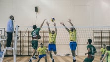 Imagem de Equipas de voleibol do Sports Madeira e do Marítimo só regressam em Março