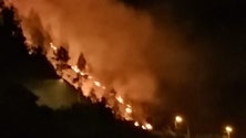 Imagem de Três corporações de bombeiros combateram incêndio em Machico