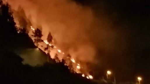 Três corporações de bombeiros combateram incêndio em Machico