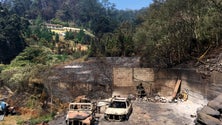 Imagem de Empresários madeirenses ainda aguardam apoio do Estado depois dos incêndios