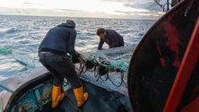 Governo de Jersey vai reunir com pescadores franceses