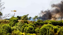 Imagem de Incêndios: Cinco feridos em Palmela, um dos quais grave