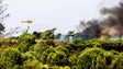Imagem de Incêndios: Cinco feridos em Palmela, um dos quais grave