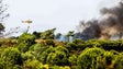 Incêndios: Cinco feridos em Palmela, um dos quais grave