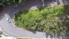 Imagem de Rali da Ribeira Brava introduz novidades (vídeo)