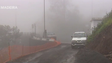 Imagem de Câmara do Funchal abre estrada no sítio do Boliqueime