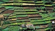 ProBioMadeira potencia agricultura biológica (áudio)