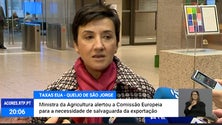 Governo da República preocupado com a guerra comercial entre a Europa e os EUA [Vídeo]