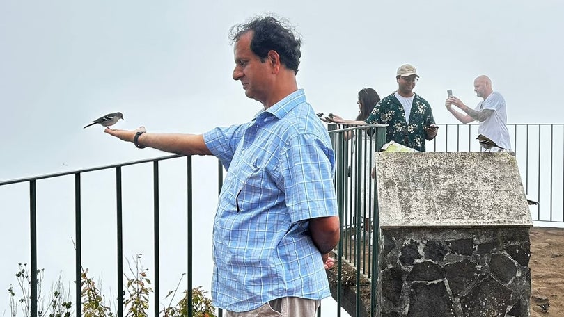 Imagem de Imagem de marca do destino Madeira