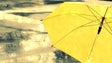 Imagem de Madeira sob aviso amarelo