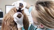 Imagem de Cheque Veterinário chega à Madeira